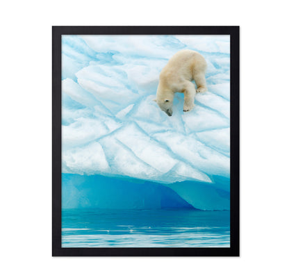 Polar Bear on the Edge