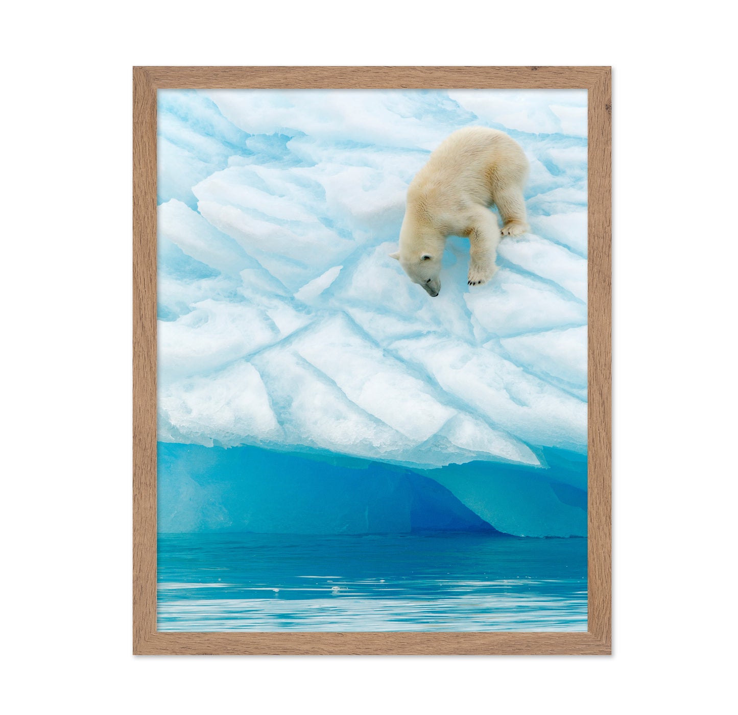 Polar Bear on the Edge