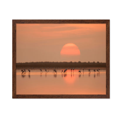 Flamingos at Sunrise