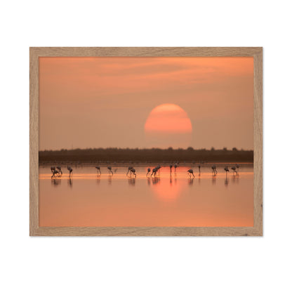 Flamingos at Sunrise