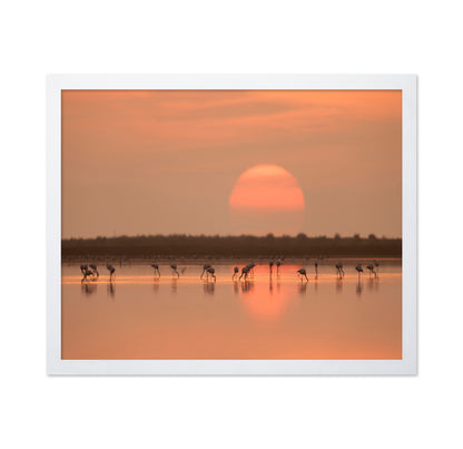 Flamingos at Sunrise