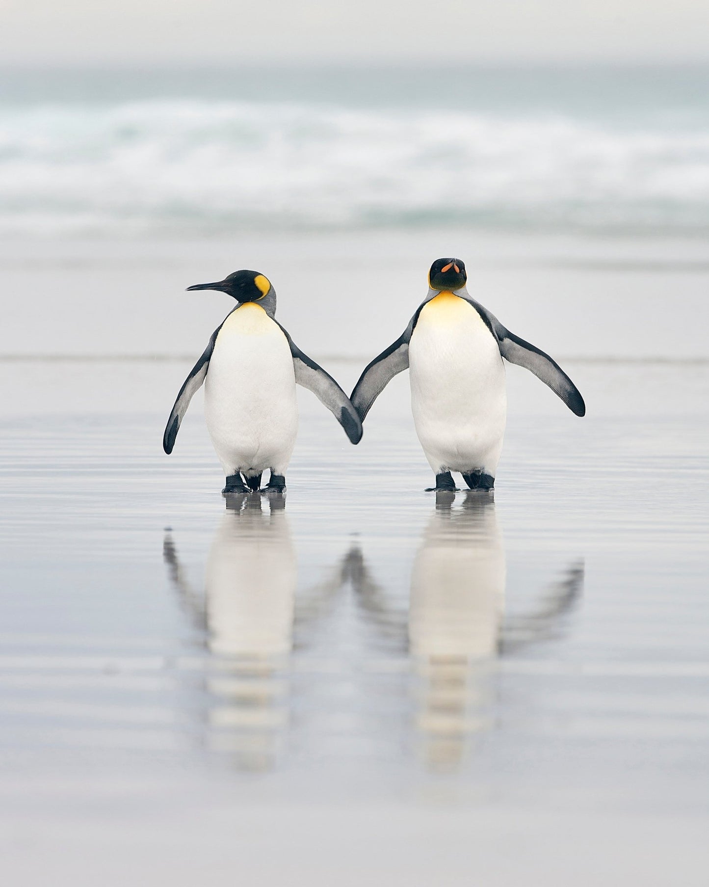 Soulmates in the Surf