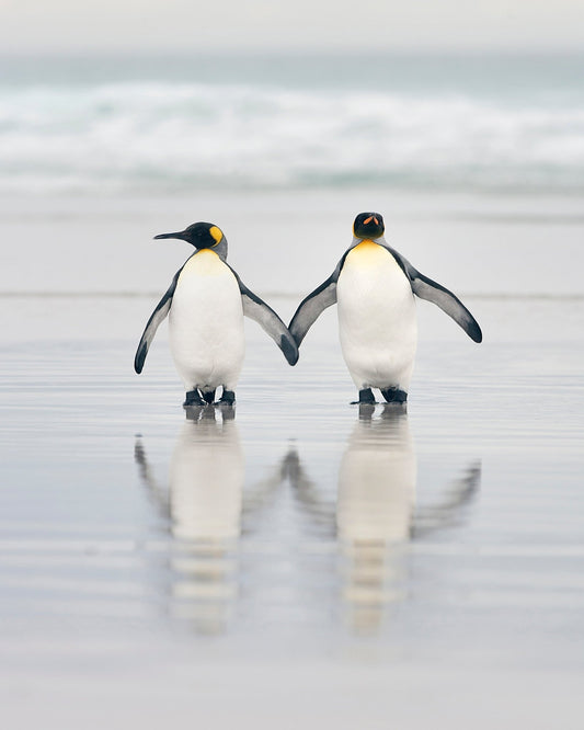 Soulmates in the Surf