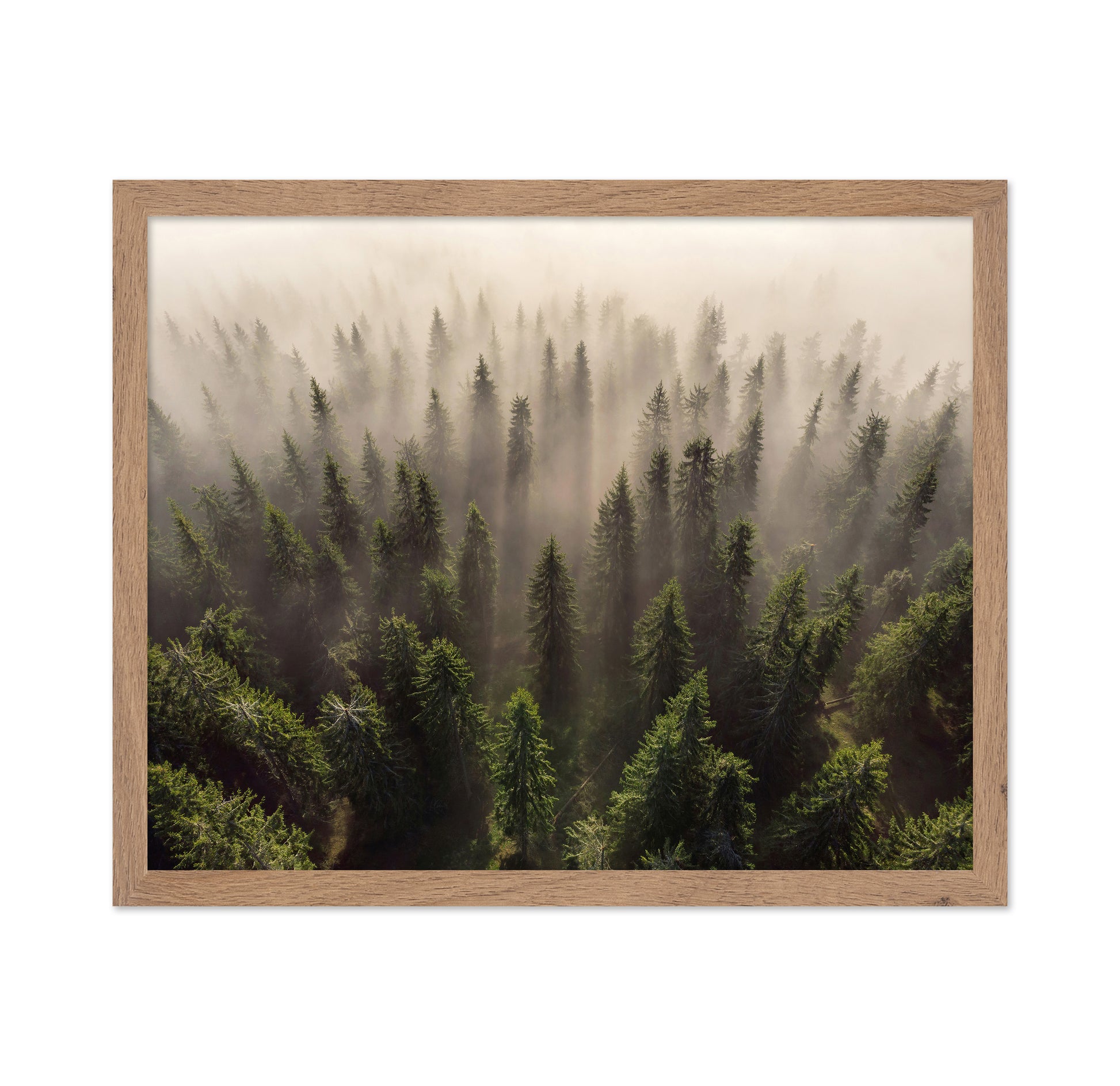 The Army of Firs