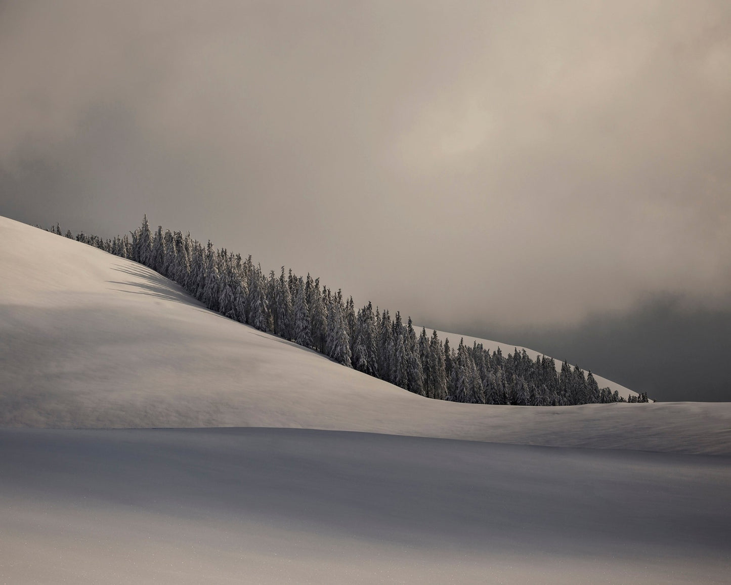 Contours of Winter