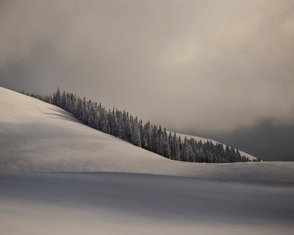 Contours of Winter