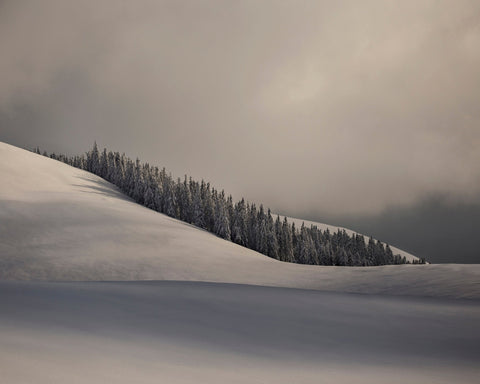 Contours of Winter