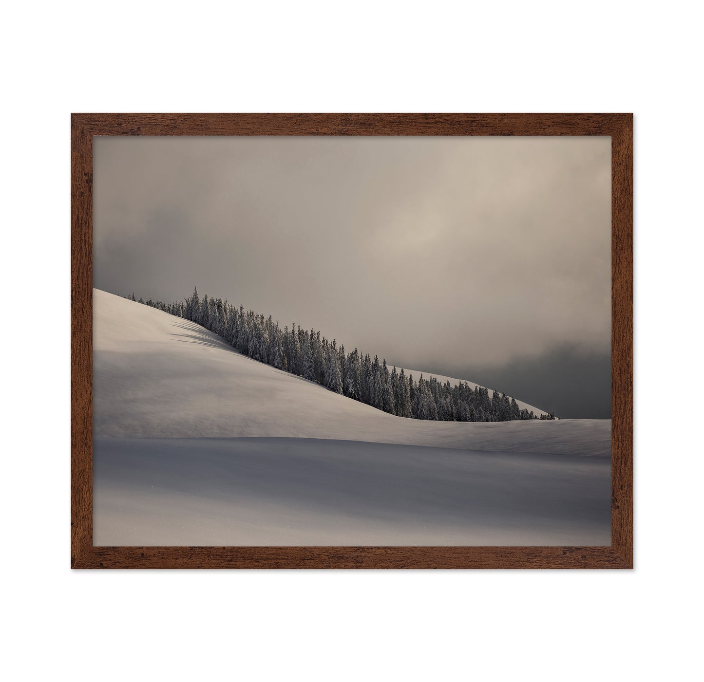 Contours of Winter