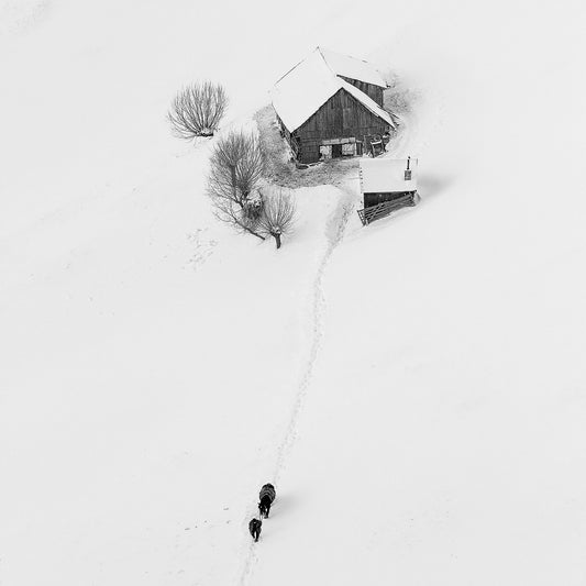 Winter Story