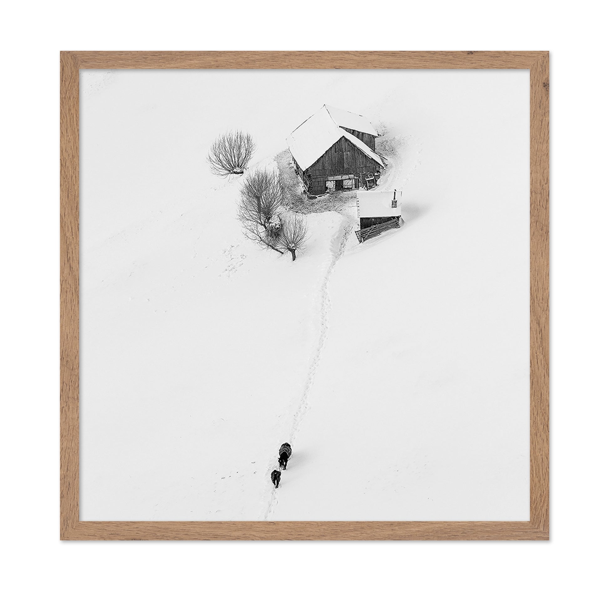 Winter Story
