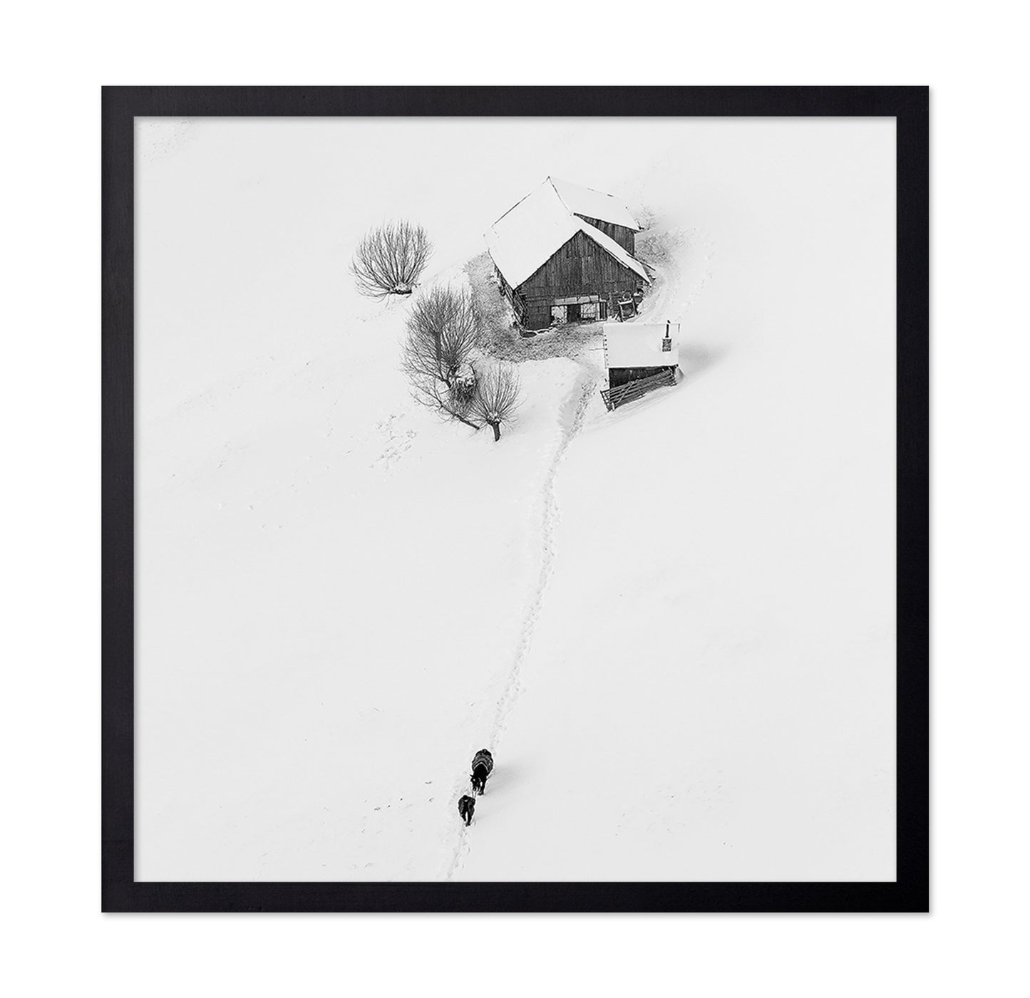 Winter Story