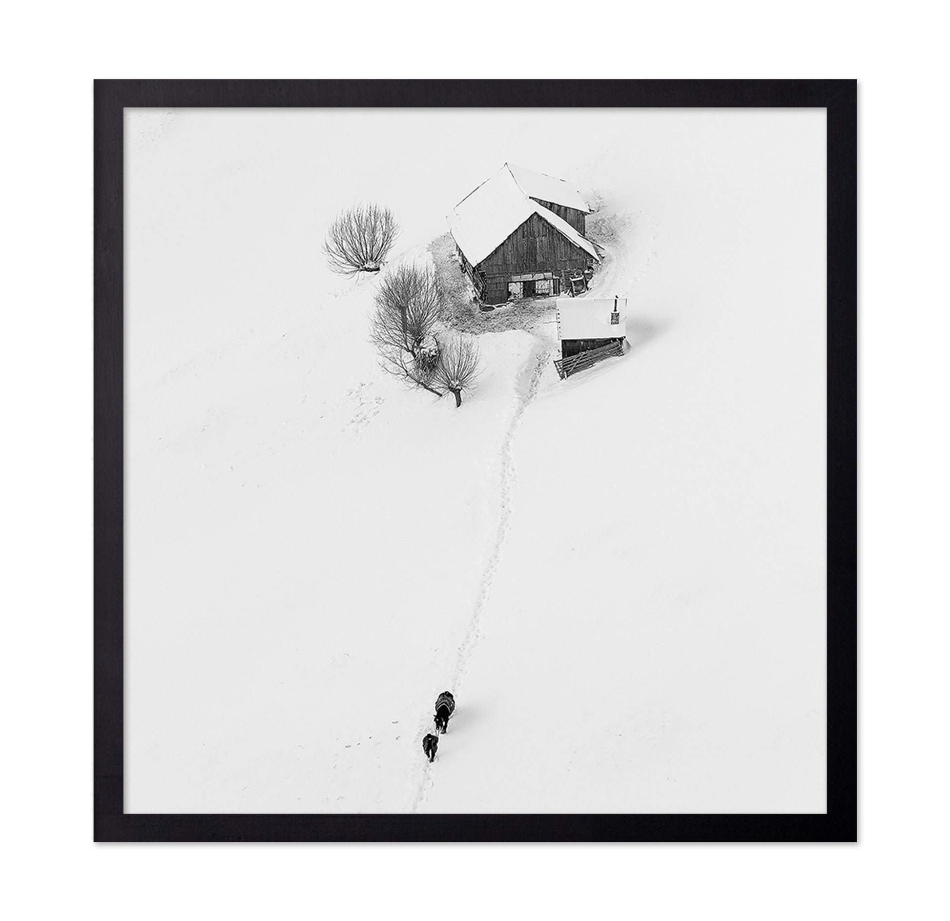 Winter Story