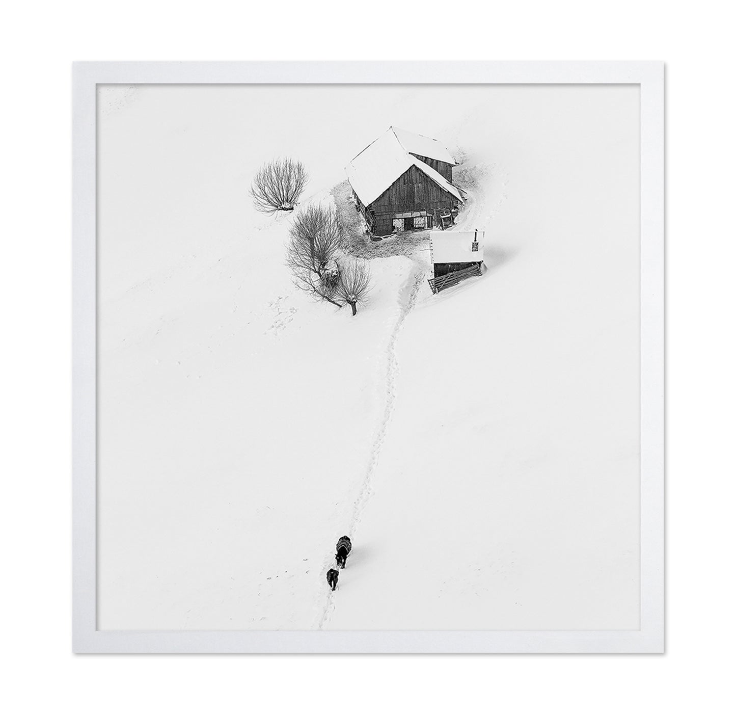 Winter Story