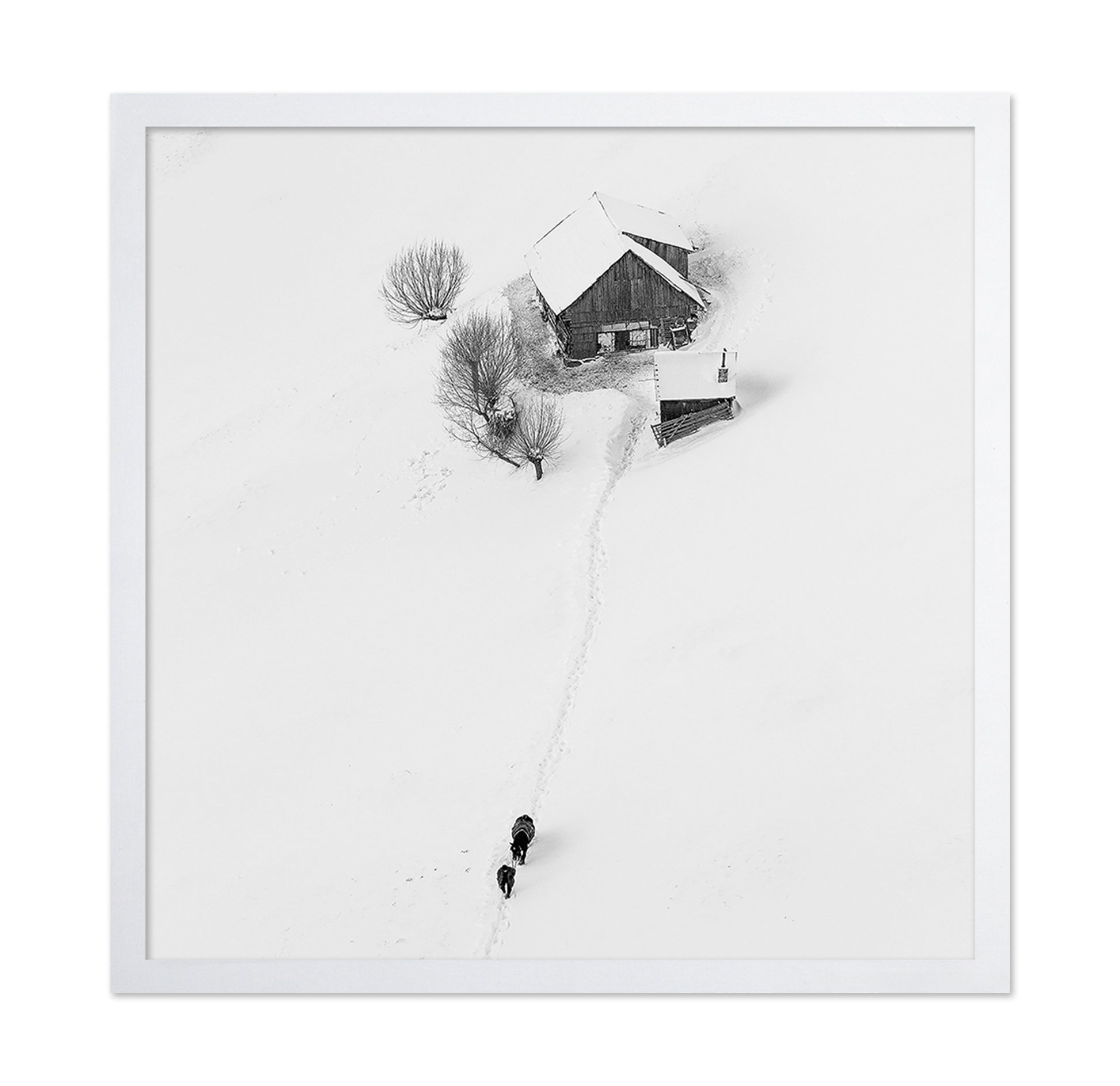 Winter Story