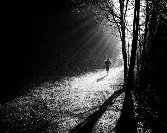 Through The Sun Rays