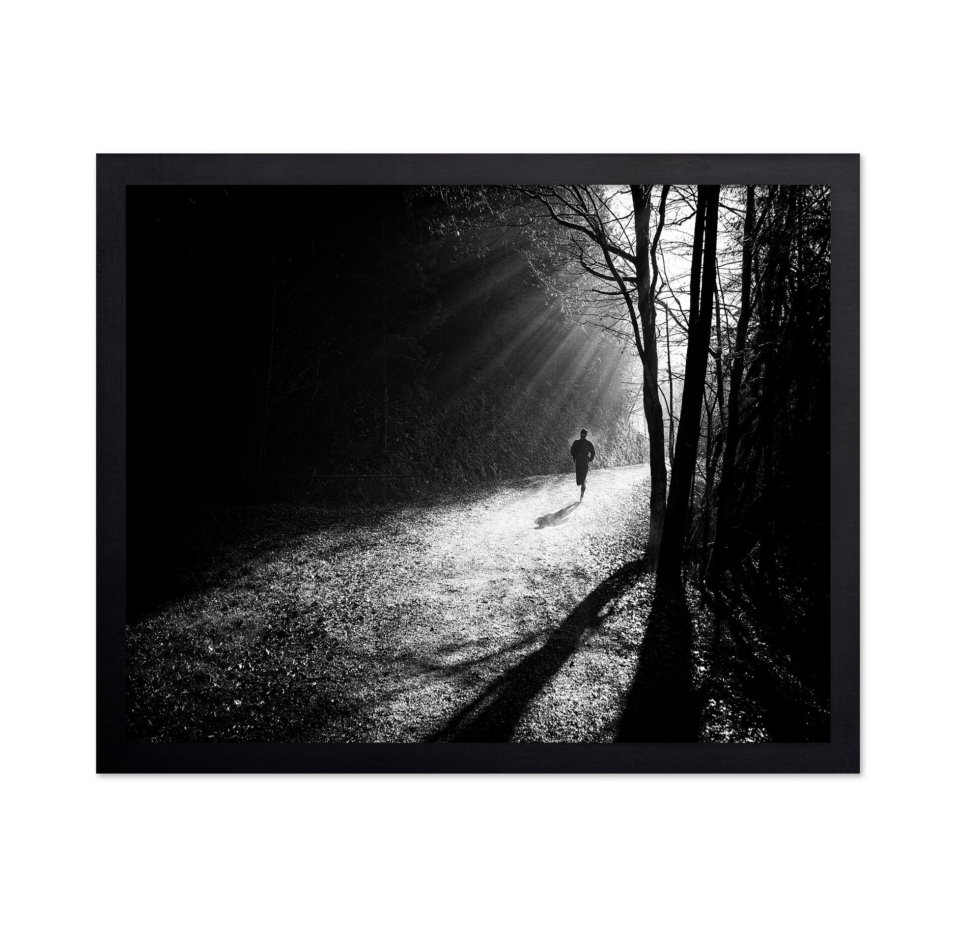 Through The Sun Rays