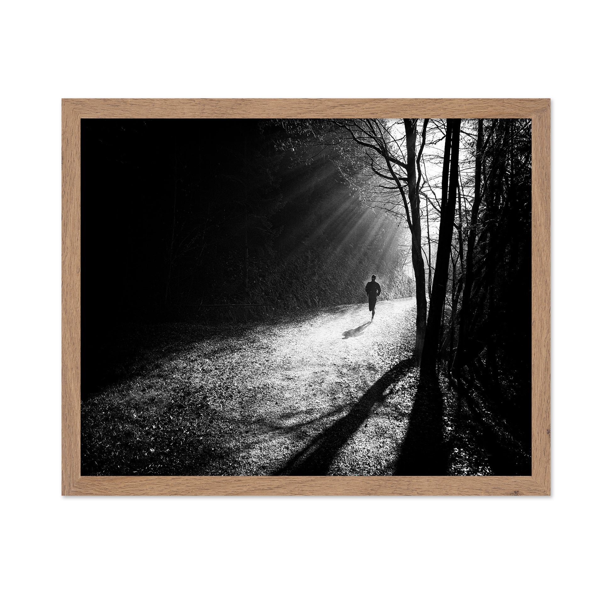 Through The Sun Rays