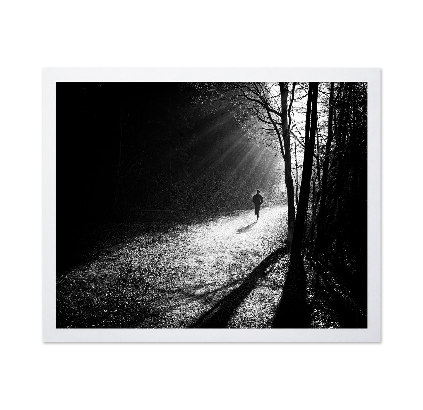Through The Sun Rays