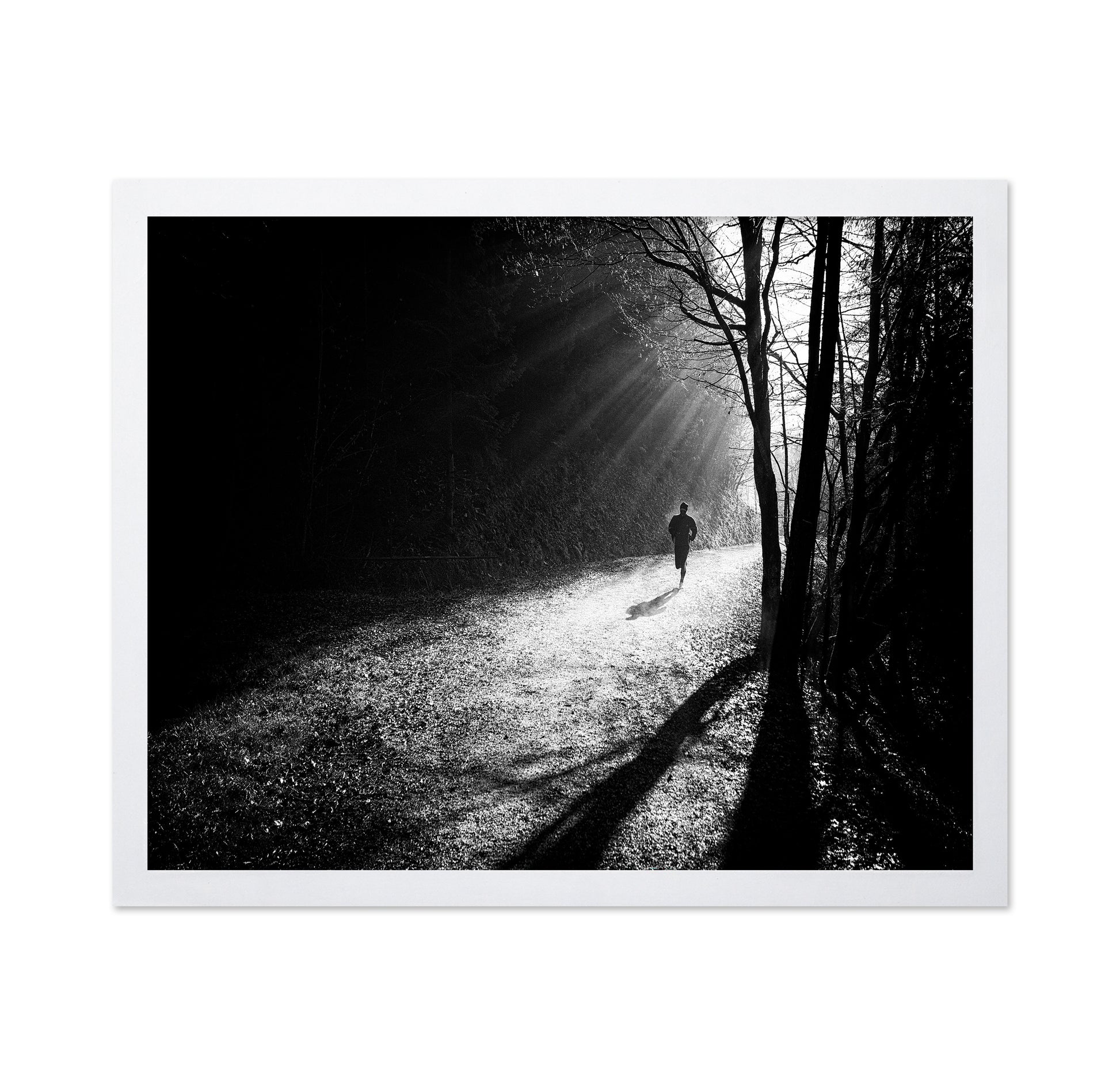 Through The Sun Rays