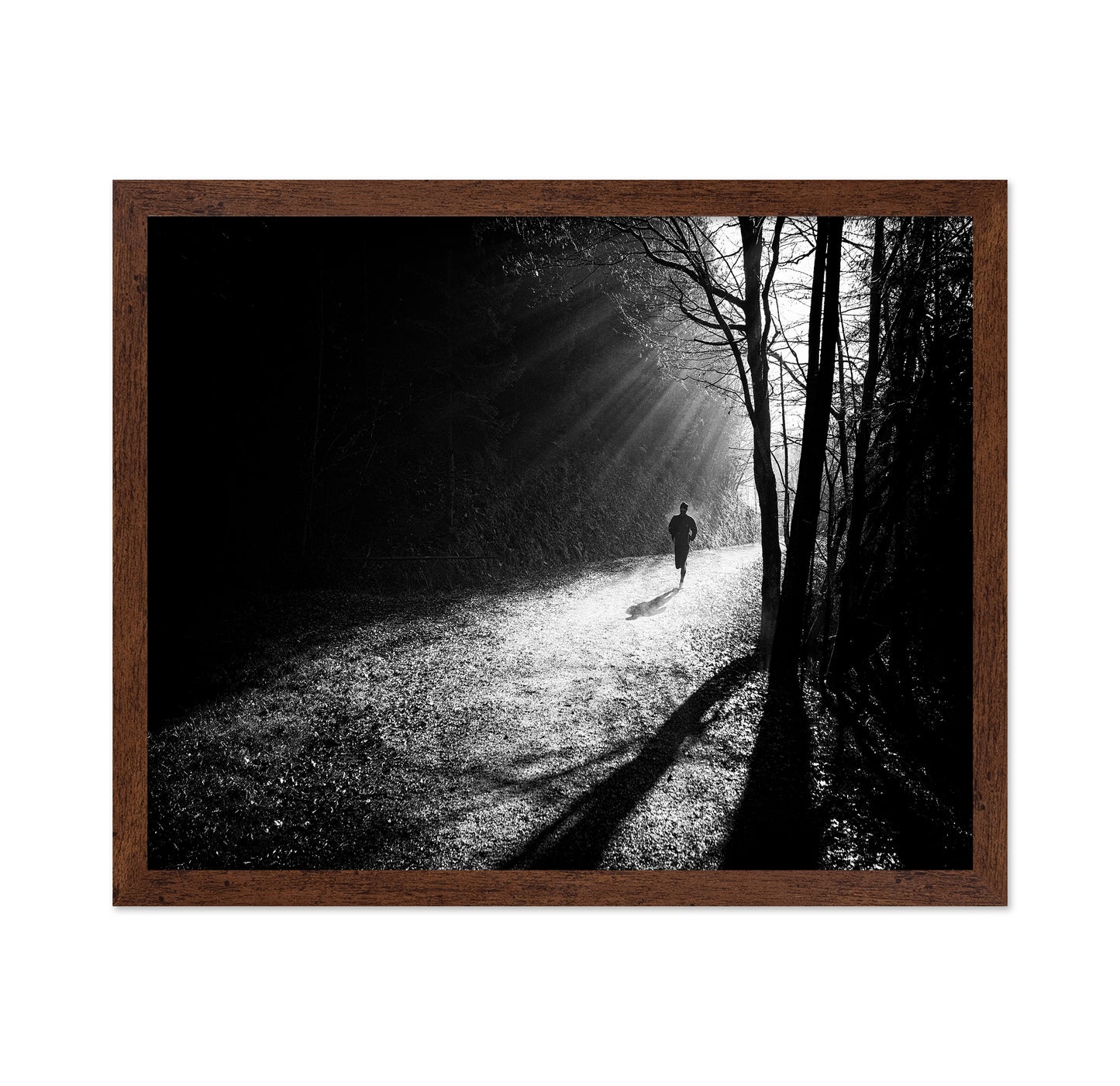Through The Sun Rays