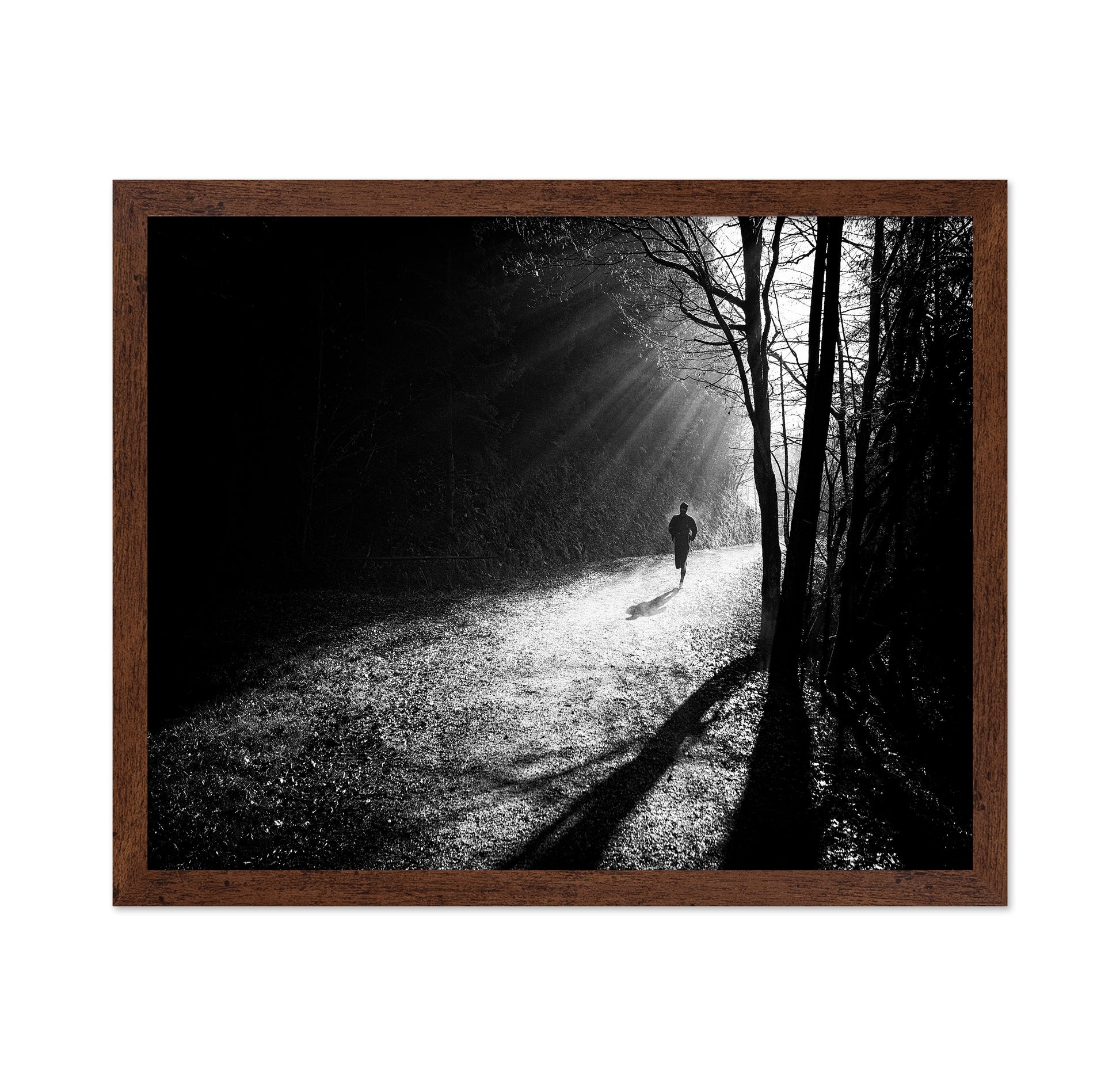 Through The Sun Rays