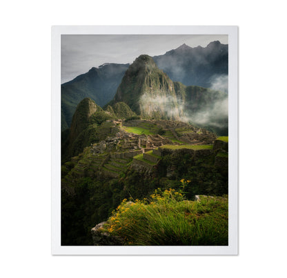 Andean Garden