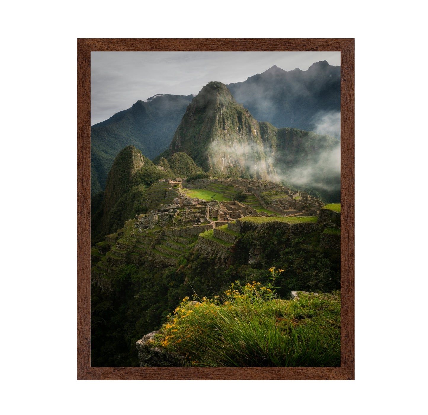 Andean Garden