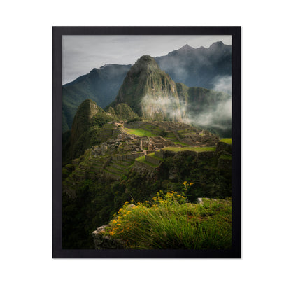Andean Garden