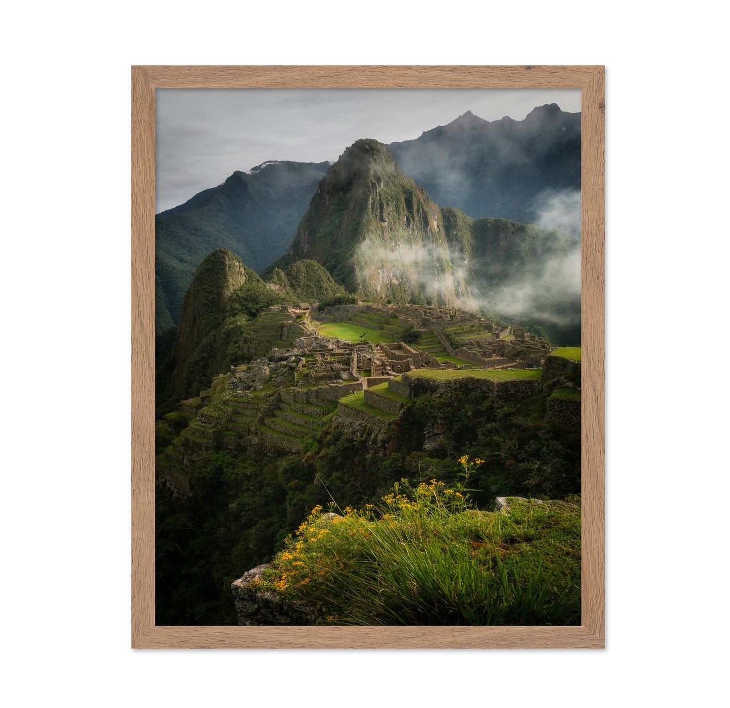 Andean Garden