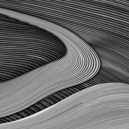 The Wood Project III - Zen Garden