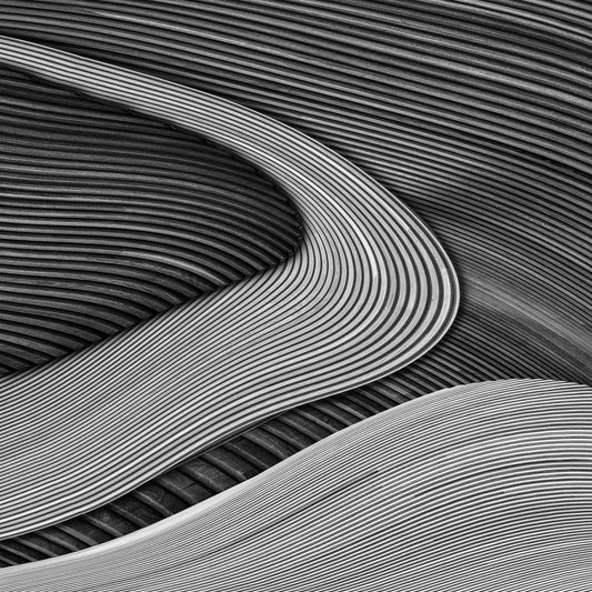 The Wood Project III - Zen Garden