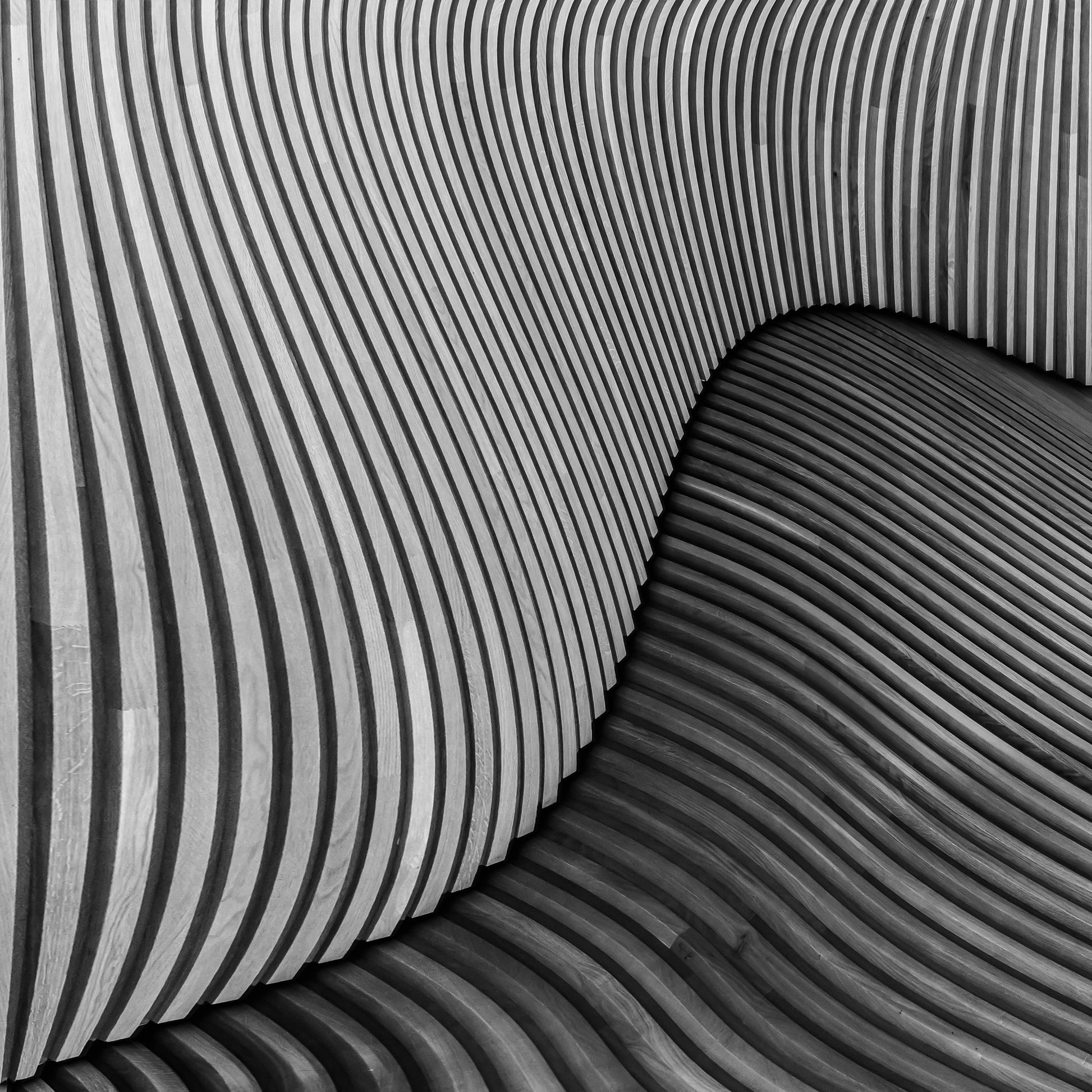 The Wood Project I -Tangled Wood