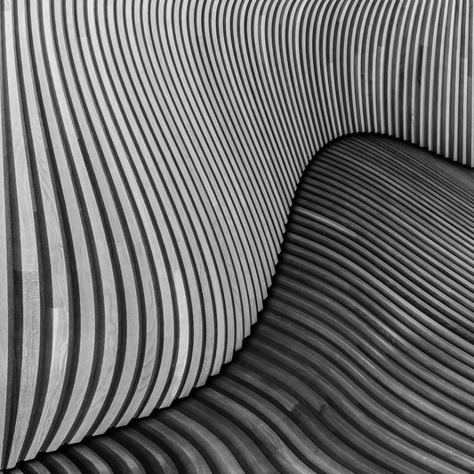 The Wood Project I -Tangled Wood