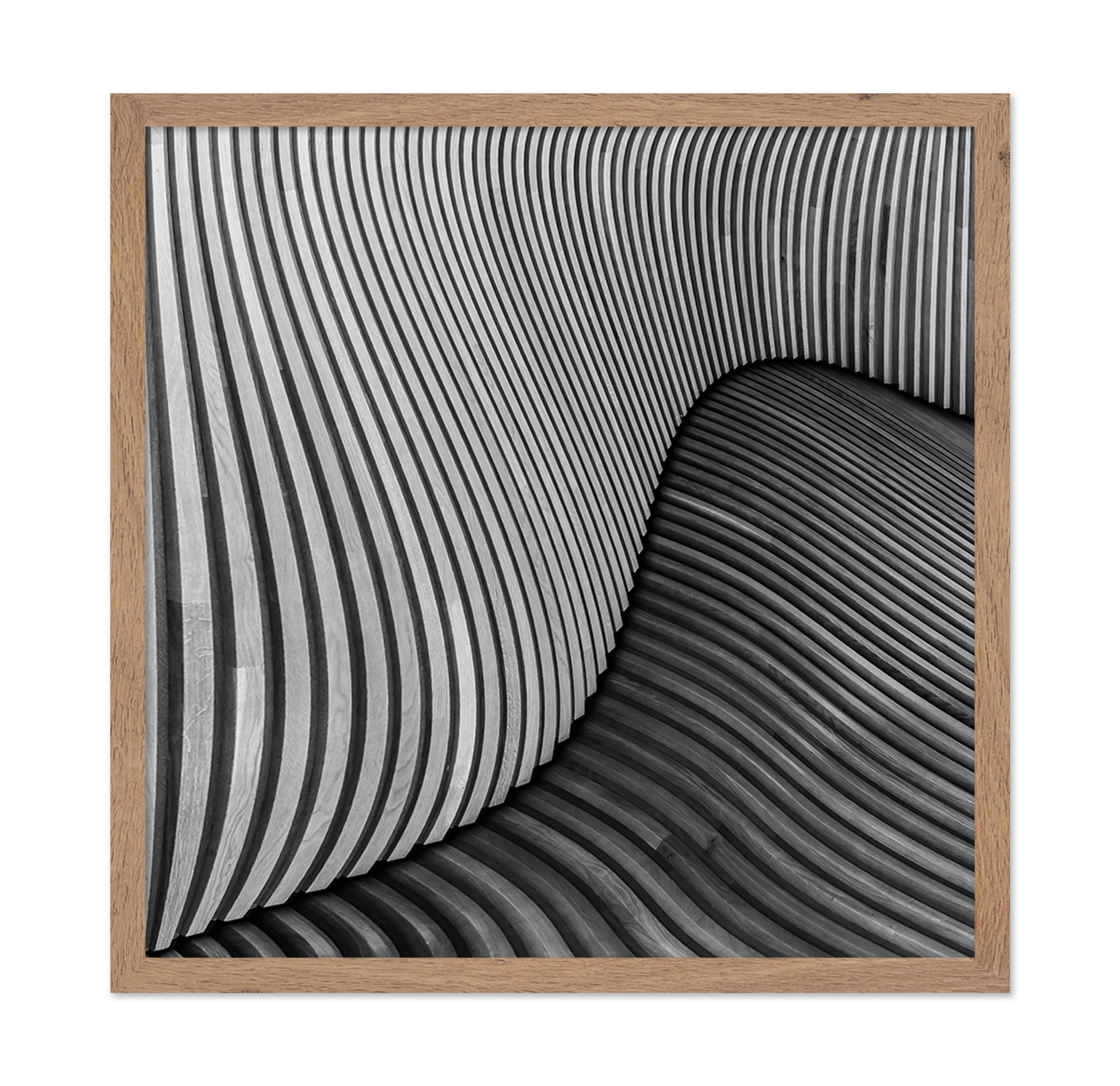 The Wood Project I -Tangled Wood