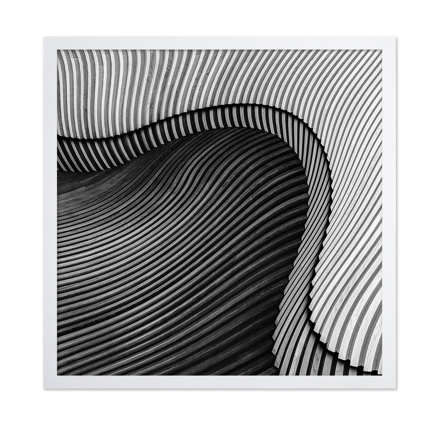 The Wood Project II - Sea Shore