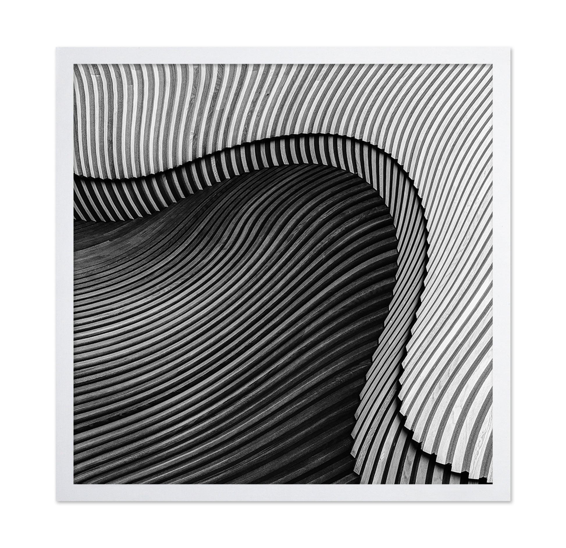 The Wood Project II - Sea Shore