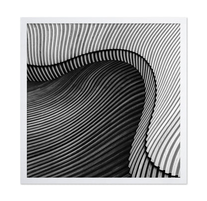 The Wood Project II - Sea Shore