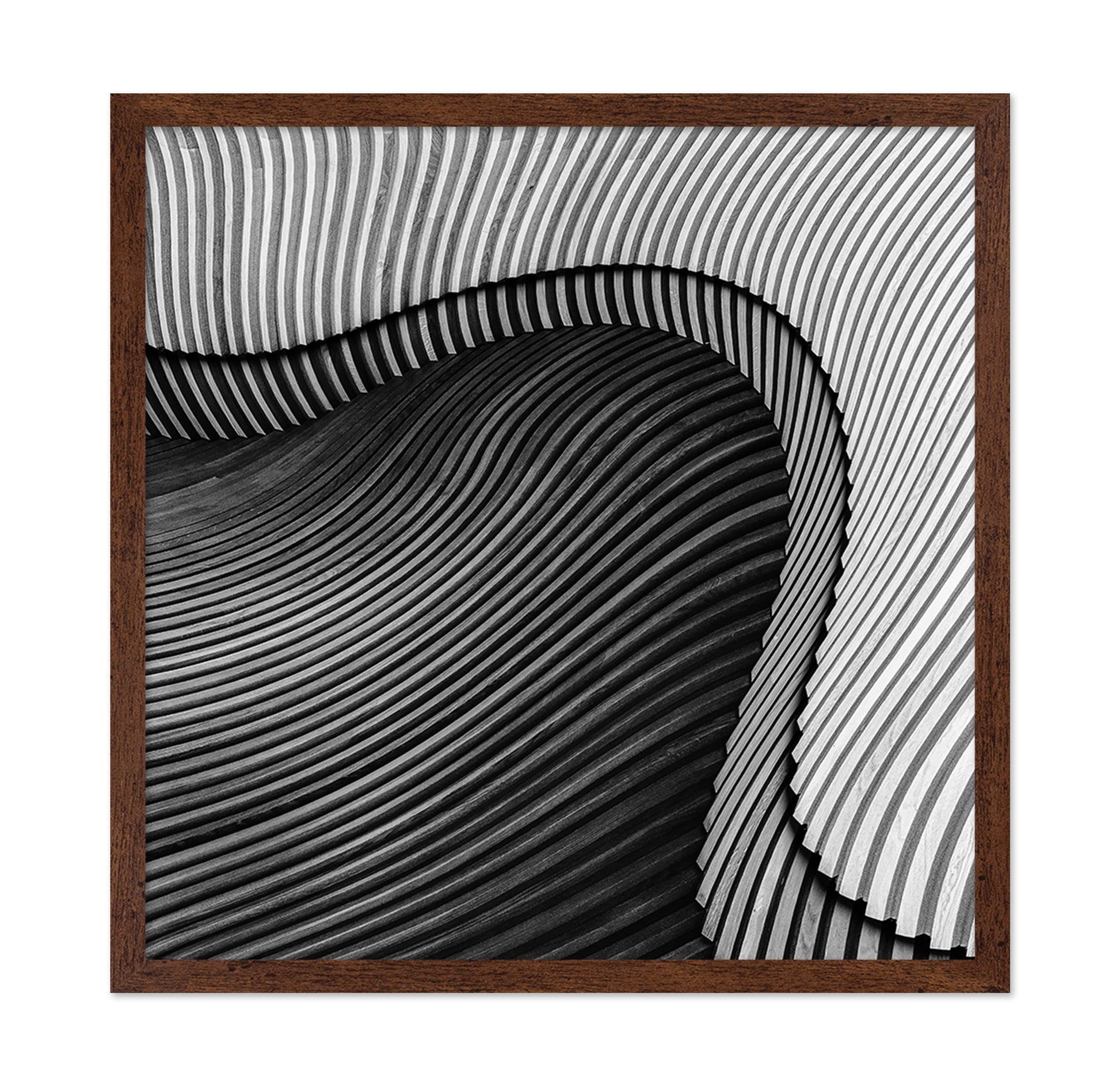 The Wood Project II - Sea Shore