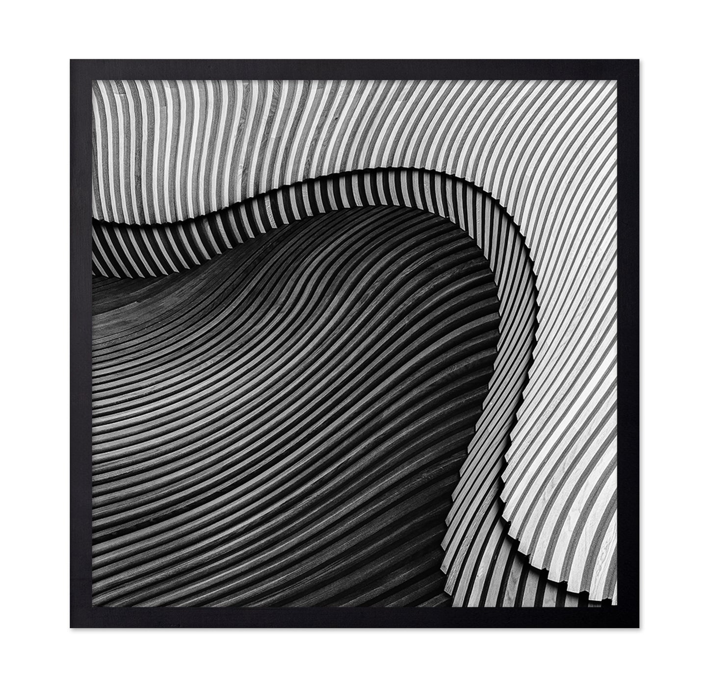 The Wood Project II - Sea Shore