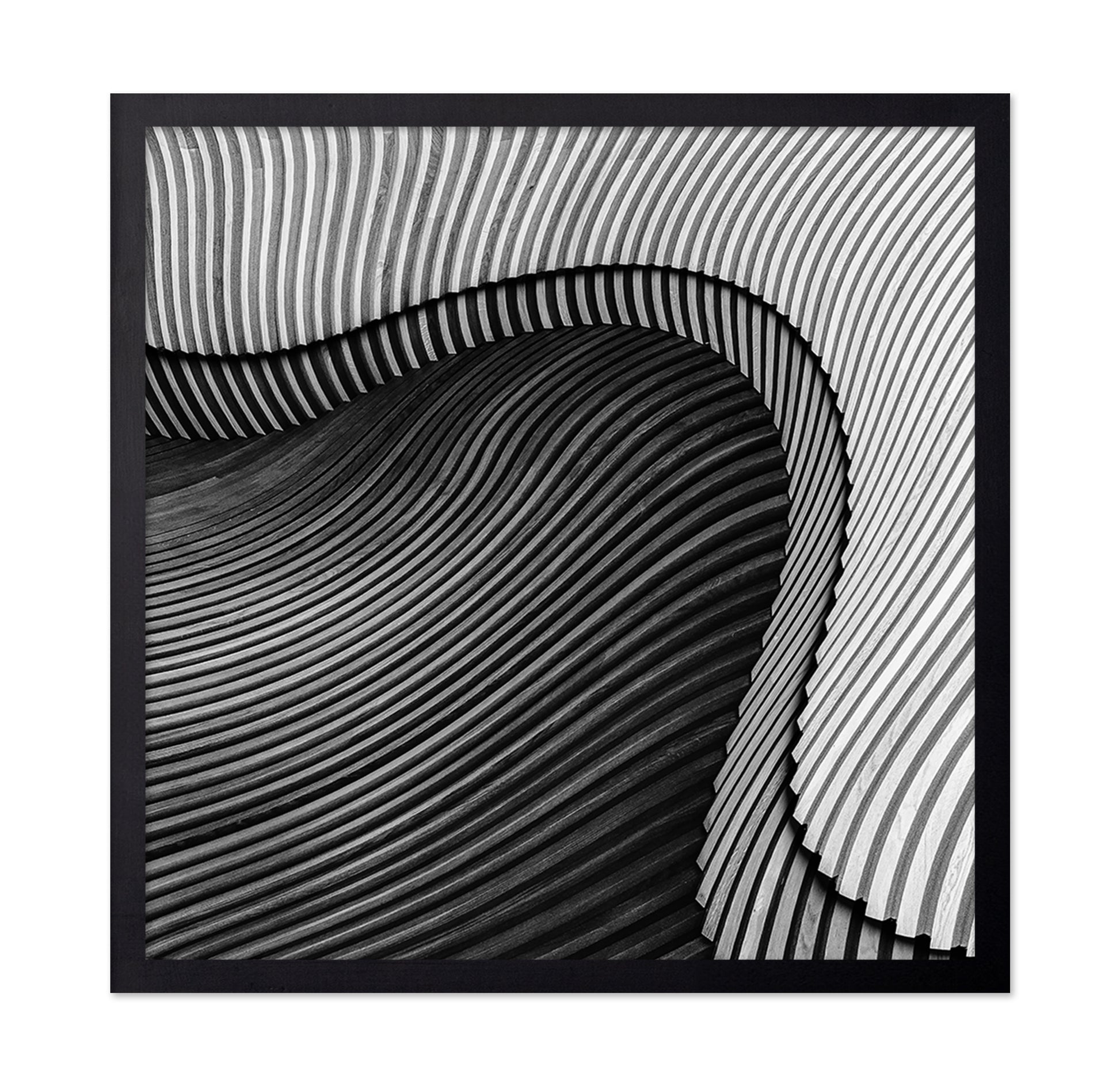The Wood Project II - Sea Shore