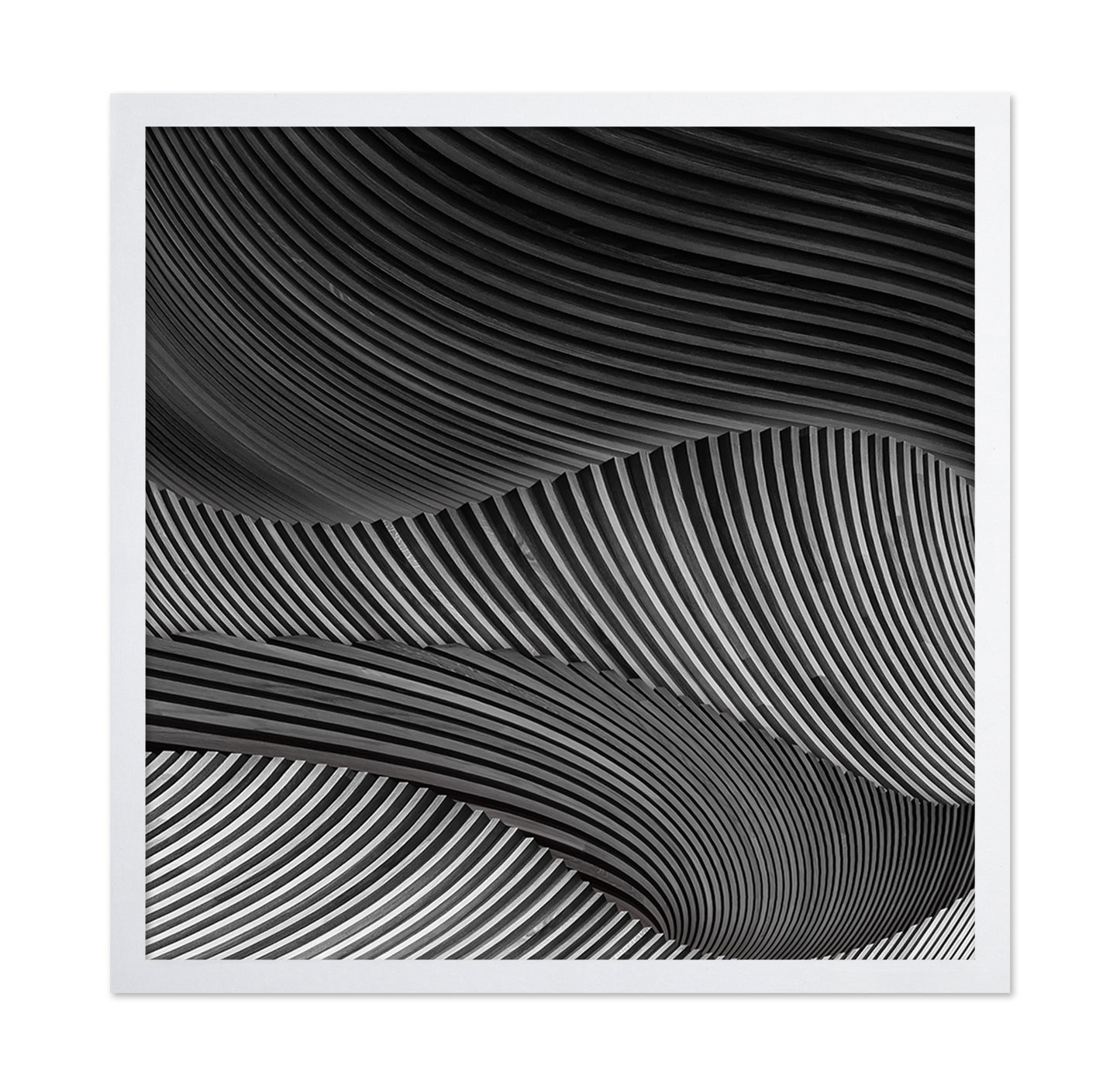 The Wood Project VI - Storm