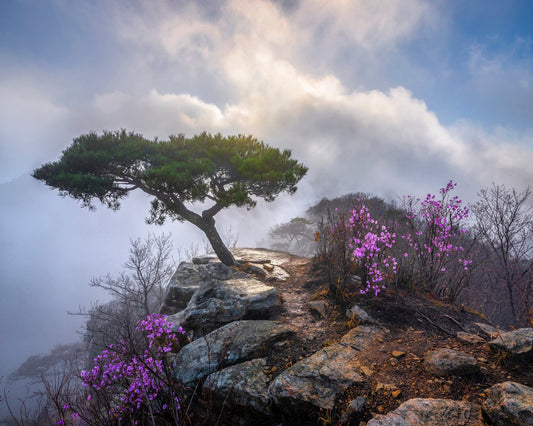 Awakening Spring
