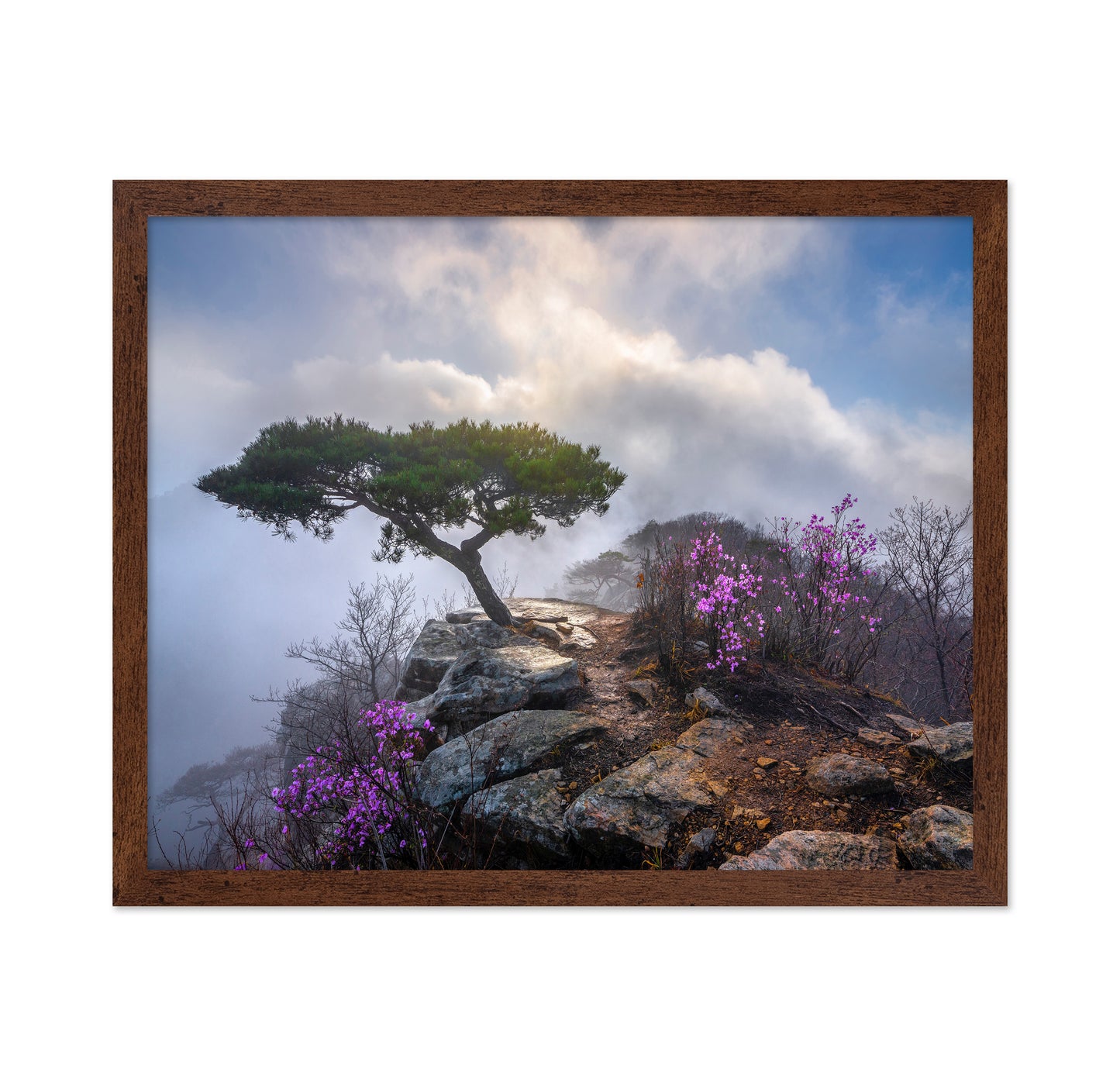 Awakening Spring