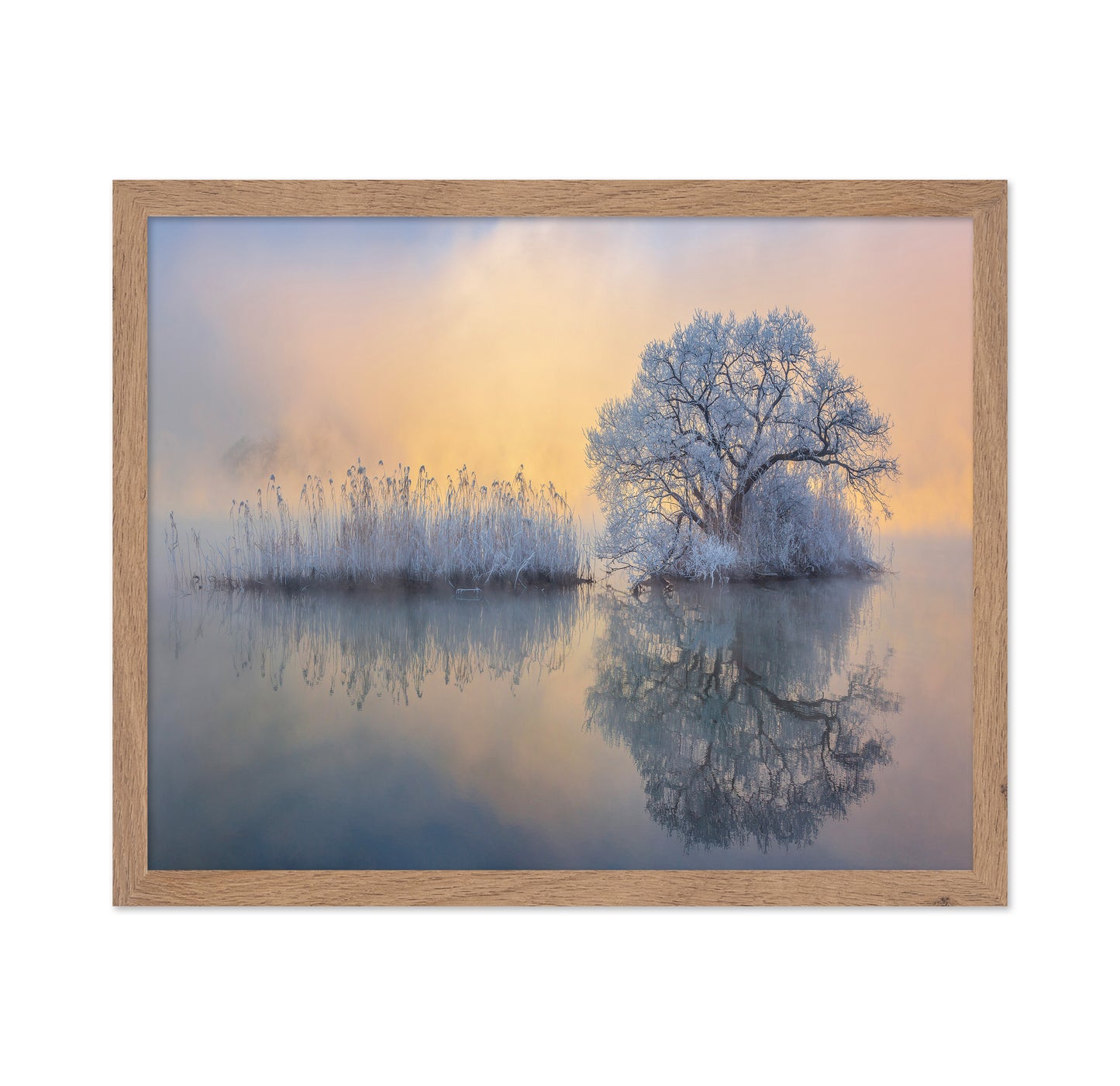 Ice Tree