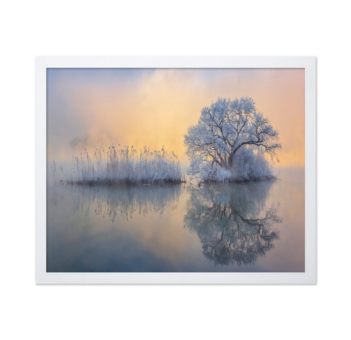 Ice Tree