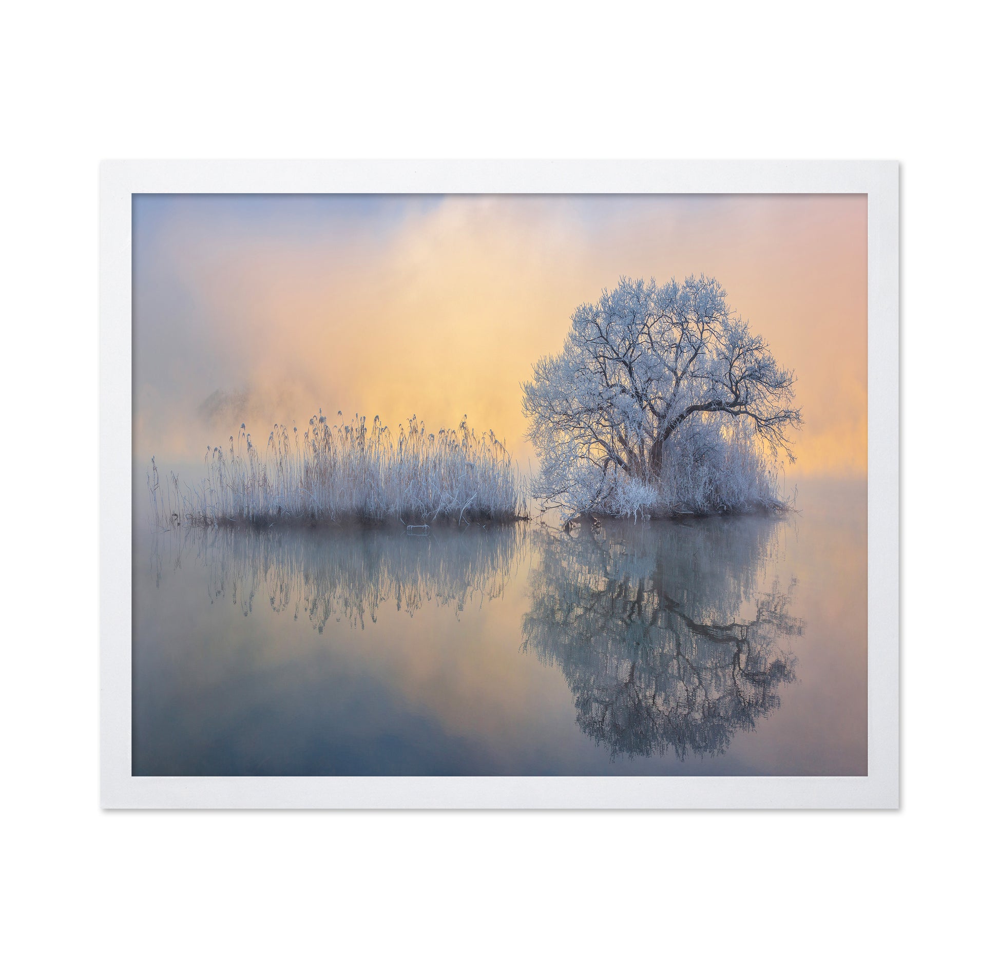 Ice Tree