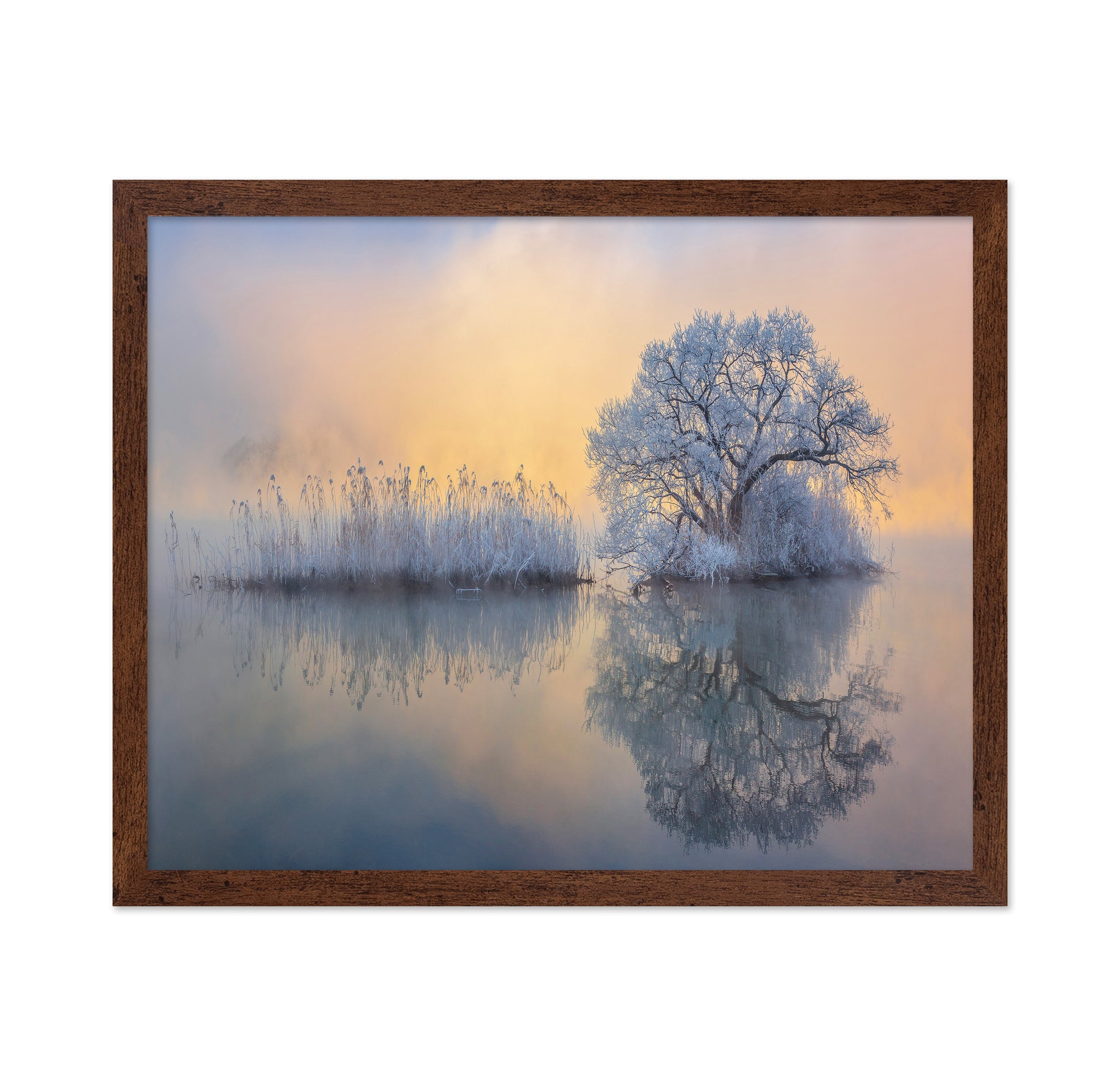Ice Tree