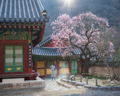 The Scent of Spring