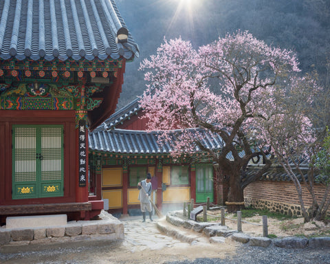 The Scent of Spring