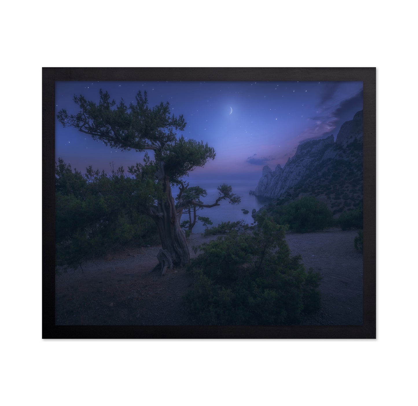 Moon Night